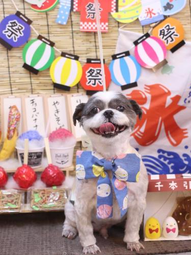 20240720大吉くん